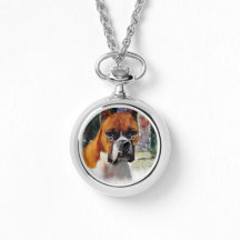 Boxer Oferece Onde O Amor Cresce