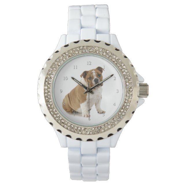 Relógio Buldogue Watch (Frente)
