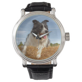 Relógio Cachorro Border Collie Fofo
