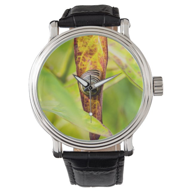 Relógio calma (Frente)