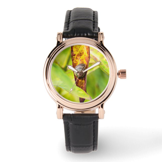 Relógio calma (Frente)