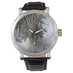 Relógio Cannonball Tree, Cidade Velha do Quebec, Quebec, C