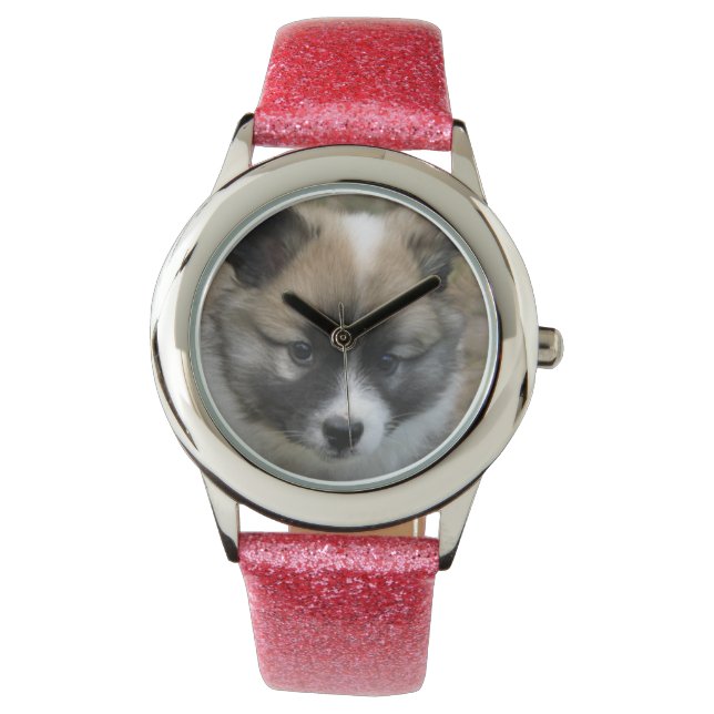 Relógio Cão de islândia - Icelandic Sheepdog (Frente)