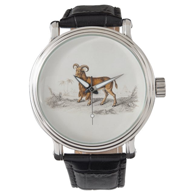 Relógio Caprinos Retrorsos De Desenho De Caprinos Com Barr (Frente)