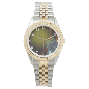 Relógio Captivado pela beleza: Gato mesmerizado pela borbo