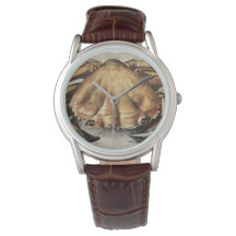 Caranguejo (Criatura sob o mar) (por Albrecht Dure