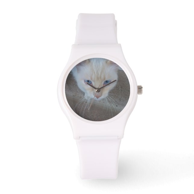 Relógio Cat Watch (Frente)