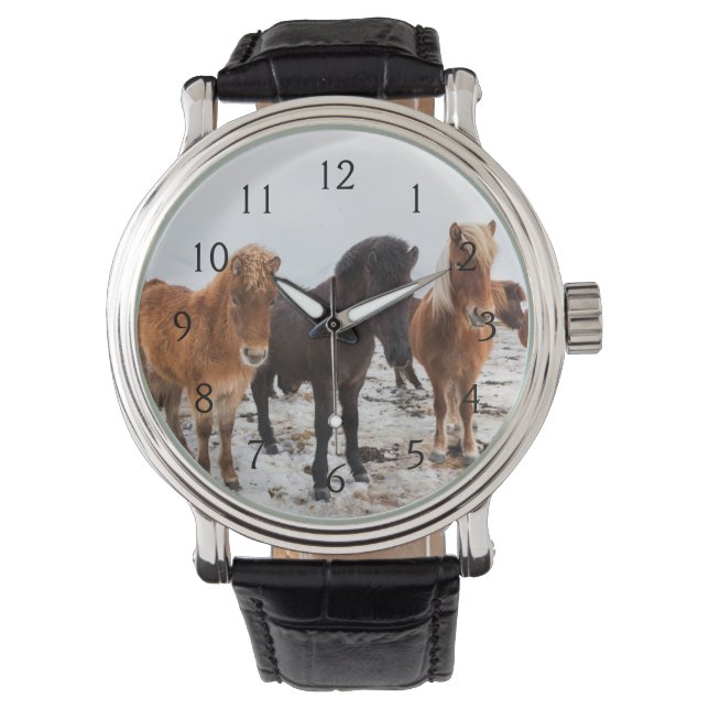 Relógio Cavalo islandês durante o inverno na Islândia (Frente)