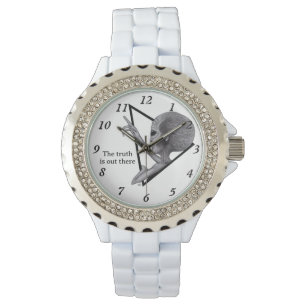 Relógio Cinza, a verdade está lá fora