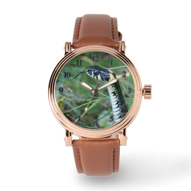 Relógio Cobra (Frente)