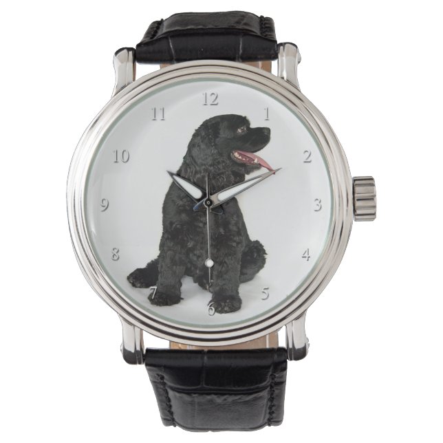 Relógio Cocker Spaniel Watch (Frente)