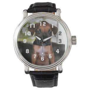 Relógio Colar prateado do bebê boxer