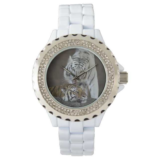 Relógio Colheita De Tigres Brancos E Castanhos (Frente)