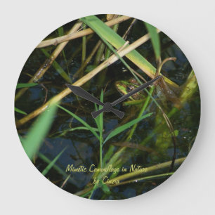 Relógio com sapo mimético