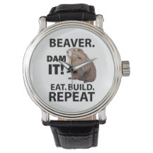 Coma Construir Repetir O Animal De Beaver Engraçad