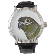 Conure de Olho Verde