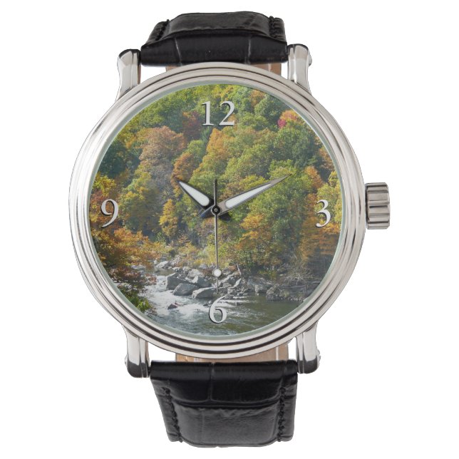 Relógio Cor de queda no Parque Estadual de Ohiopyle (Frente)
