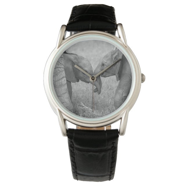 Relógio Cutest Baby Animals | Baby Elephants Greeting (Frente)