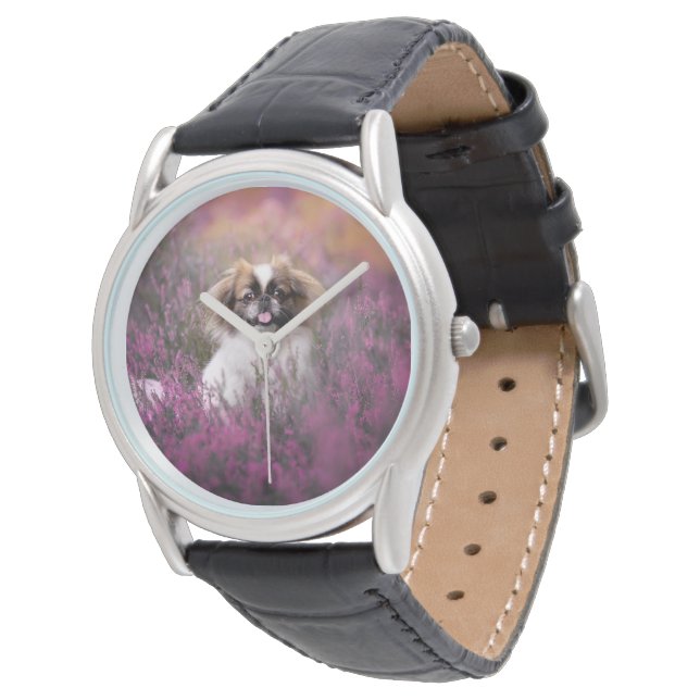 Relógio Cutest Baby Animals | Pekingese Puppy (Angular)