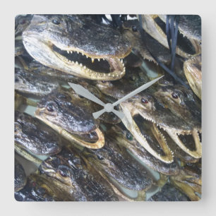 Relógio da Cabeça do Gator