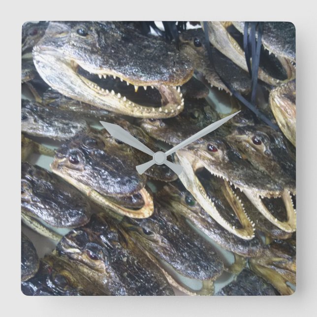 Relógio da Cabeça do Gator (Frente)