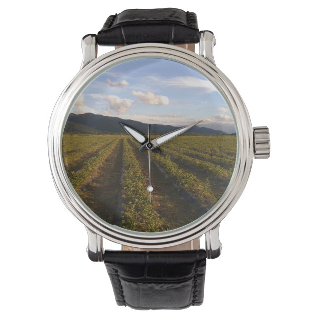 relógio da parede de verão (Frente)