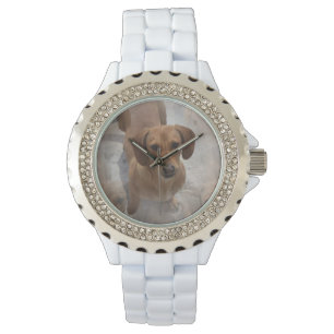 Relógio Daschund