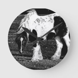 Relógio de Cavalo de Vanner Gypsy