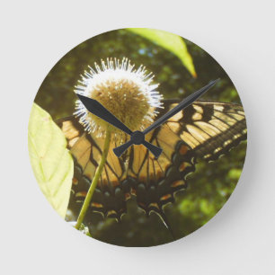 Relógio de Flor Monarca de junho