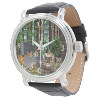 Relógio de Gato de Schrodinger