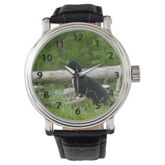 Relógio de Gatos Pretos e Brancos