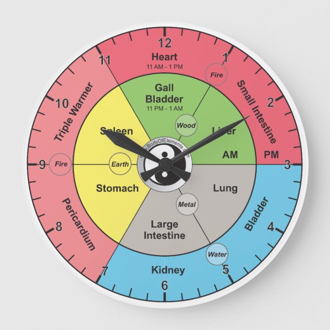 Relógio de Órgãos Meridiano Chinês (Frente)