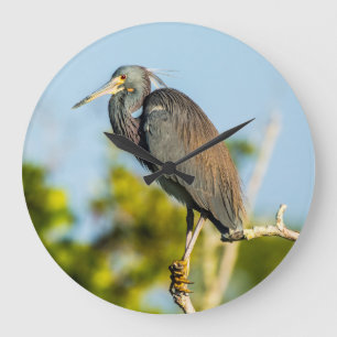 Relógio de Parede Acrílica Perfeita de Aves, Redon