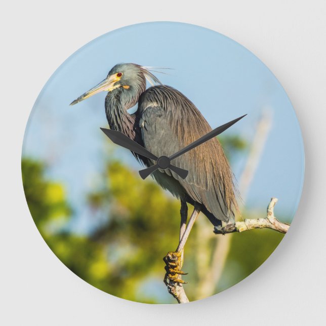 Relógio de Parede Acrílica Perfeita de Aves, Redon (Frente)