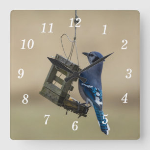 Relógio de parede azul-jay