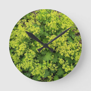 Relógio de Parede Botânico de Hera Verde Luxuriant