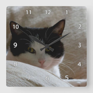 Relógio de Parede Cat