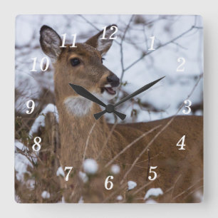 Relógio de Parede Chewy