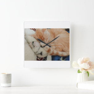 Relógio de Parede com Foto de Gato Dormindo