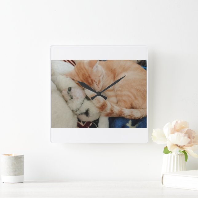 Relógio de Parede com Foto de Gato Dormindo (Lar)