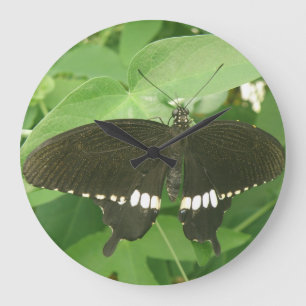 Relógio de Parede da Borboleta Comum