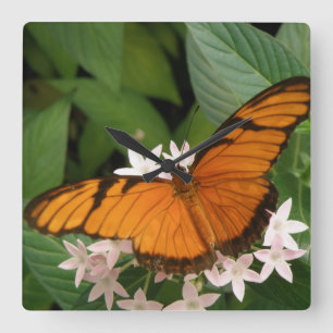 Relógio de Parede da Borboleta da Julia Laranja