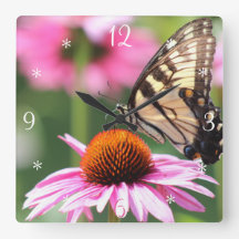 Relógio de Parede da Borboleta do Swallowtail Amar