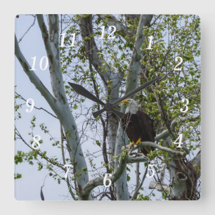 Relógio de Parede da Eagle