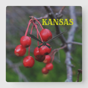 Relógio de Parede da Praça Vermelha do Kansas