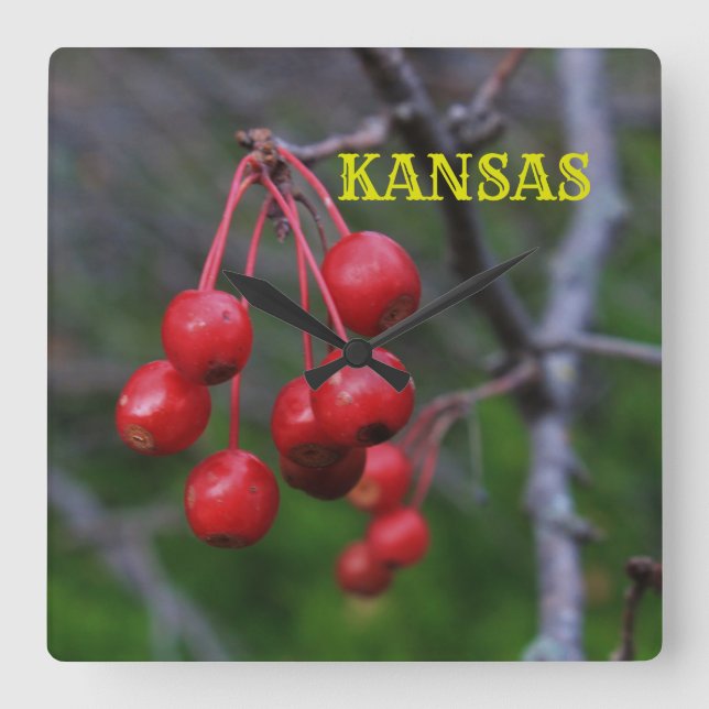 Relógio de Parede da Praça Vermelha do Kansas (Frente)