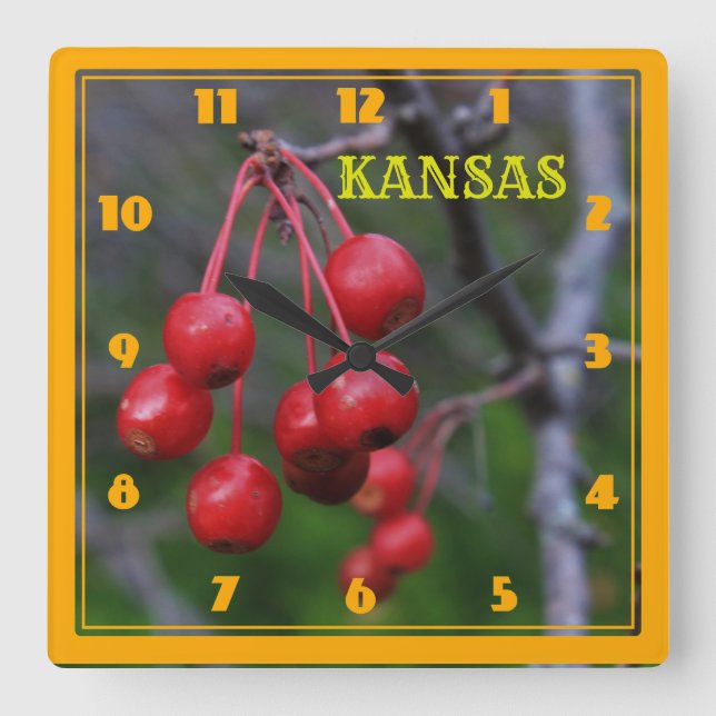 Relógio de Parede da Praça Vermelha do Kansas (Frente)