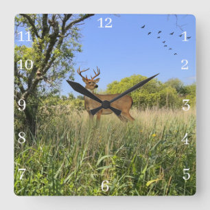 Relógio de Parede de acrílico