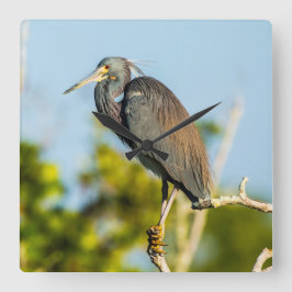 Relógio de Parede de Acrílico Bird Perfect