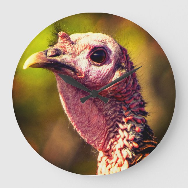 Relógio de Parede de Acrílico Turkey Up Close and  (Frente)